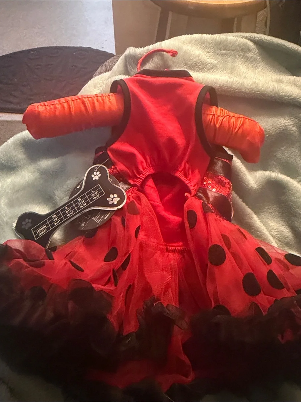 Red and Black Ladybug costume for dog